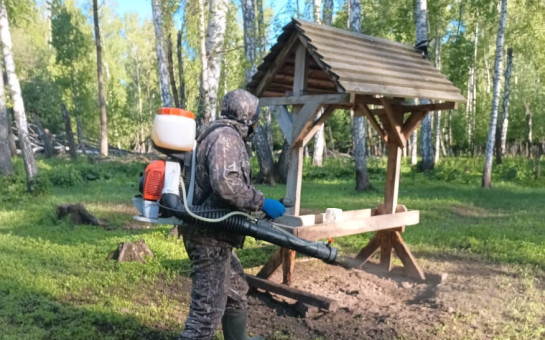 Забота о дикой природе: результаты совместной работы специалистов
